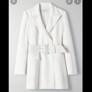 Aritzia Futura Blazer Dress